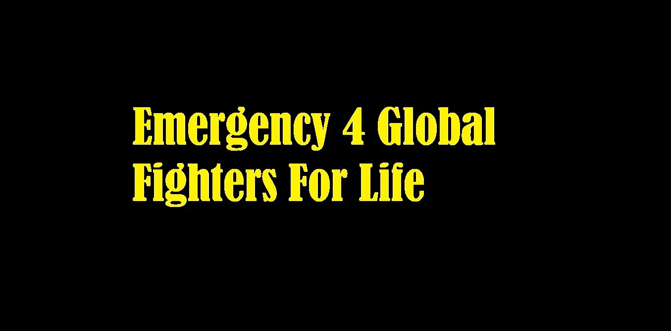 Emergency 4 Global Fighters For Life Free Download