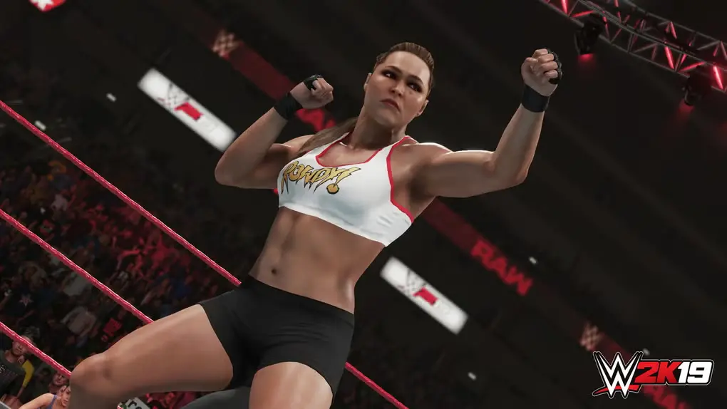 WWE 2K19 Highly Compressed Free Pc Game